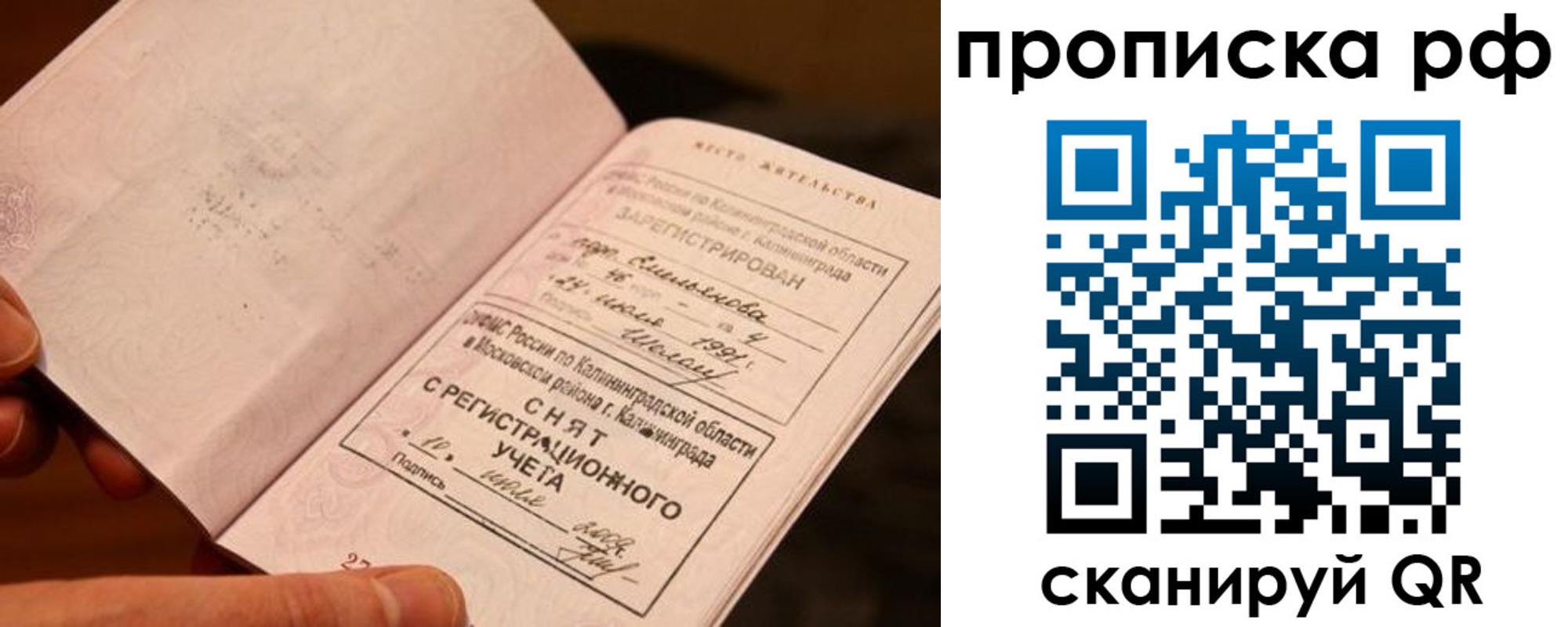 прописка гарантия в Киржаче